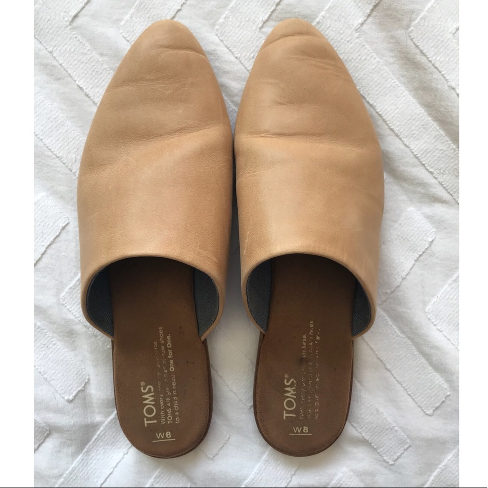 Toms Mules